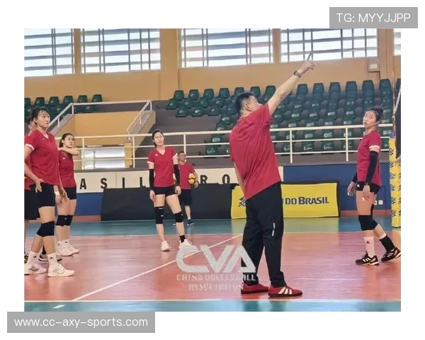 北京排球队配合技巧解析与训练方法探讨