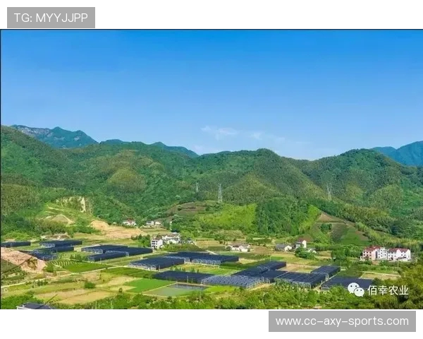 广州极限运动队实力全面解析与各队表现深度对比