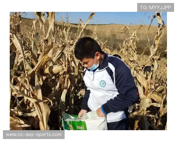 杨静独家揭秘极限运动的乐趣与挑战分享我的亲身体验与心得体会