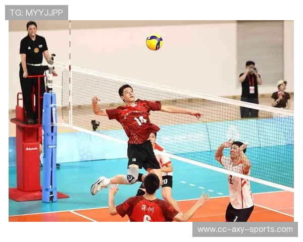 杭州排球队战术解析：聚焦排球运动的创新与发展