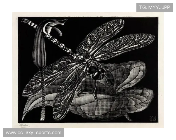 加莱诺的艺术世界探索与人文精神的深刻交融之旅