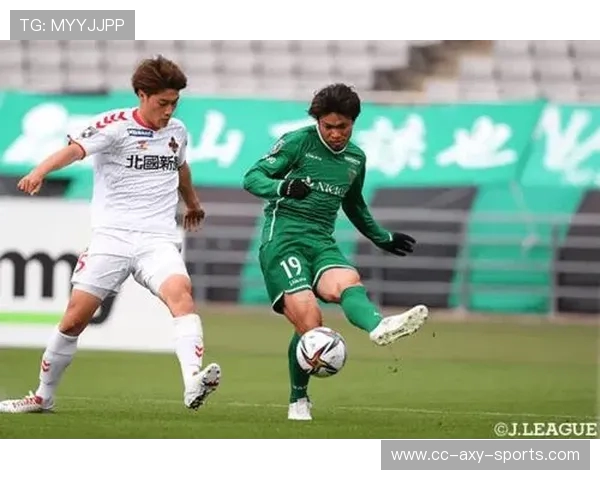 新泻天鹅与岐阜FC激战在即谁能在这场对决中笑到最后